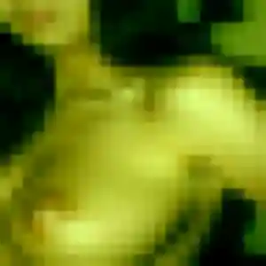 Sexy Berenice, 32 ans à Bohain-en-Vermandois - voir sa photo