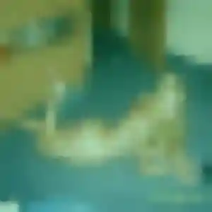 Ambre, 43 ans, dispo pour rencontre libertine à Carmaux