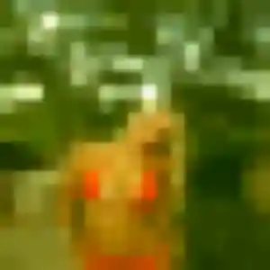 Photo exclusive de Lisa, 44 ans à Château-Gontier-sur-Mayenne - rencontre coquine