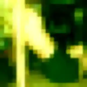 Sexy Sara, 32 ans à La Roquette-sur-Siagne - voir sa photo