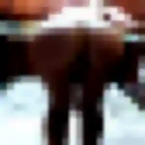 Profil de Sylvie à Lamballe-Armor (23 ans) - rencontre libertine anonyme
