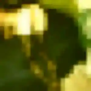 Sexy Leila, 20 ans à Les Trois-Îlets - la contacter