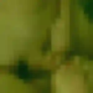 Yasmina, femme de 20 ans propose rencontre libertine à Loireauxence