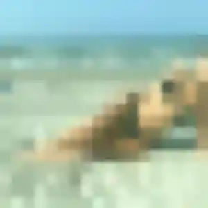 Jolie Caroline, 42 ans à Montceau-les-Mines - voir sa photo
