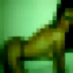 Rencontre Bernadette, 21 ans à Montrouge en privé
