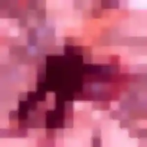 Photo perso de Soraya, 28 ans à Neufchâteau - rencontre coquine