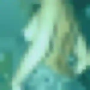 Photo sexy de Harmony, 22 ans à Notre-Dame-de-Bondeville - rencontre coquine