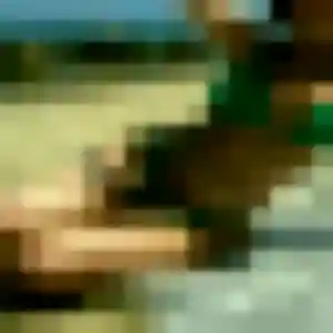 Contacte Flore, 43 ans à Saint-Médard-en-Jalles en t'inscrivant