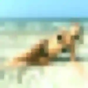 Photo exclusive de Mylene, 28 ans à Savenay - rencontre coquine