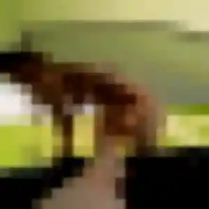 Cecile, 34 ans, dispo pour rencontre libertine à Verrières-le-Buisson