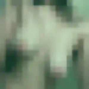 Helene, femme de 42 ans propose rencontre libertine à Villers-le-Lac